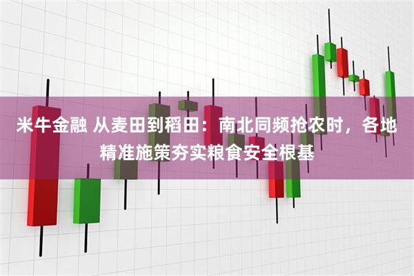 米牛金融 从麦田到稻田：南北同频抢农时，各地精准施策夯实粮食安全根基